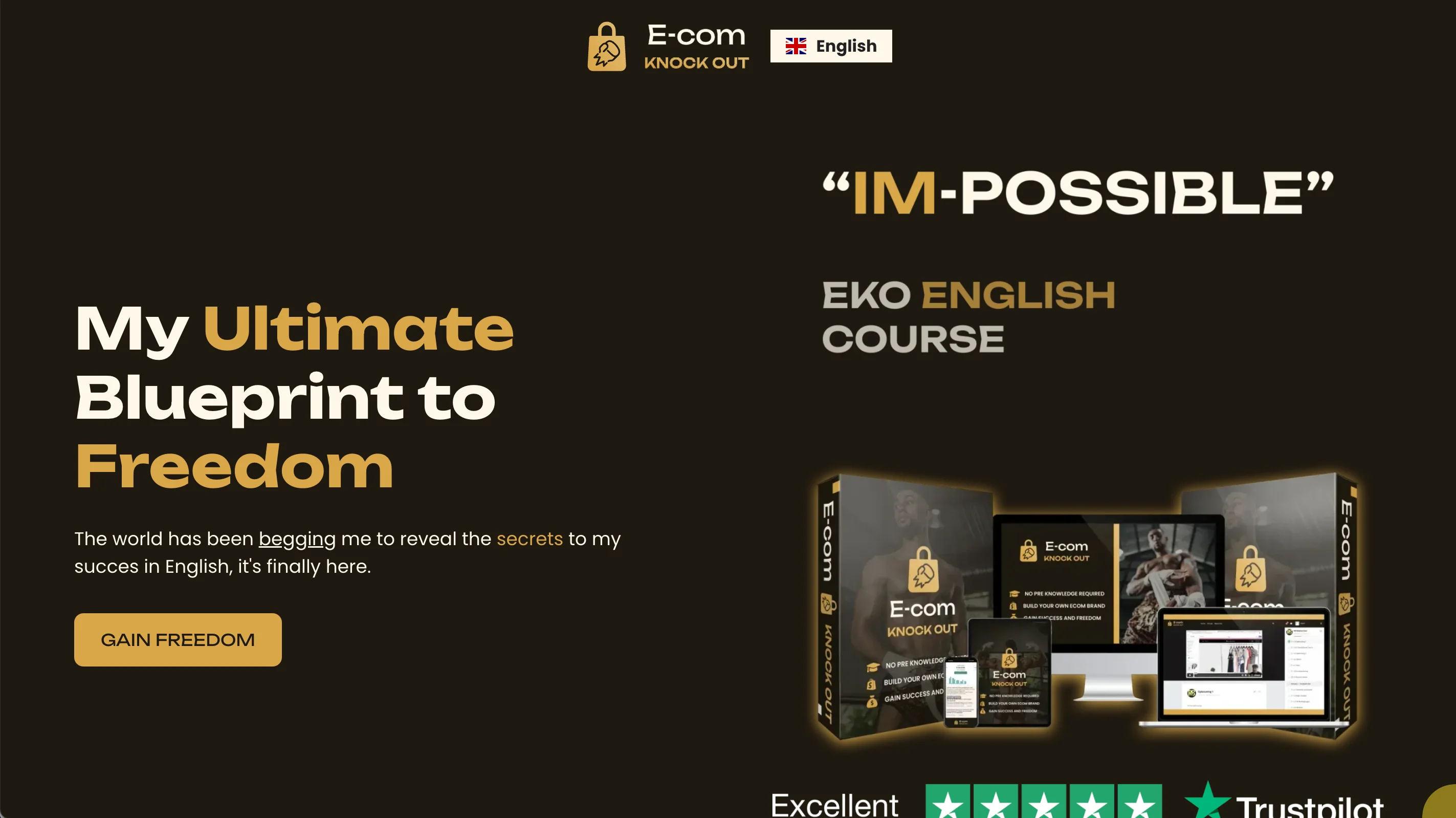 Ecom Knock Out website design by Weblyfe